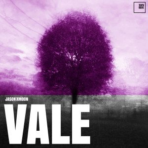 收听Jason Xmoon的Vale歌词歌曲