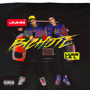 Album Bichote (Explicit) from 