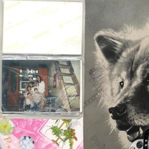 Pilgrim Raid的專輯Rottweiler (Explicit)