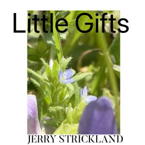 ดาวน์โหลดและฟังเพลง LITTLE GIFTS พร้อมเนื้อเพลงจาก Jerry Strickland