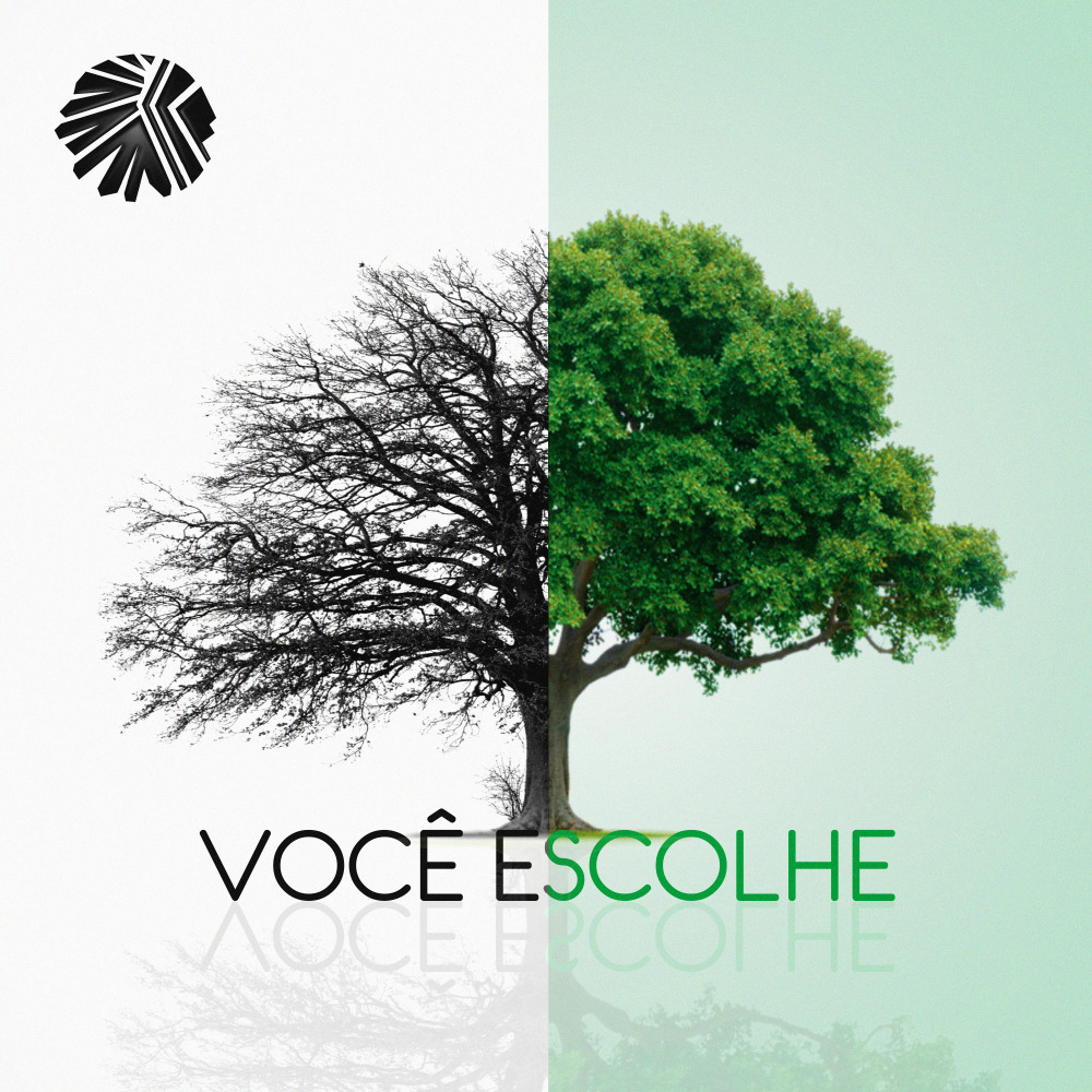 Você Escolhe