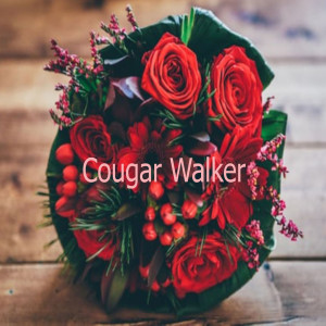 ดาวน์โหลดและฟังเพลง จะไม่มีเธออีกแล้ว พร้อมเนื้อเพลงจาก Cougar Walker