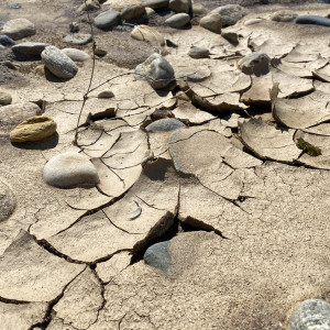 收听Kid Sleepy的A Love, Forgotten歌词歌曲