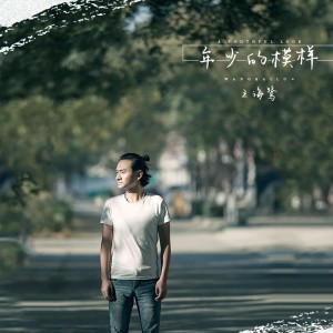 Dengarkan lagu 少年的模样 nyanyian 王海鹭 dengan lirik
