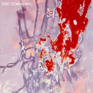 收聽Dj Mat Met的DSC COM A XRC (feat. NOTRN & MC Lekão) (Explicit)歌詞歌曲