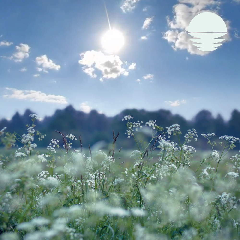 English Country Garden (Loopable Rain)