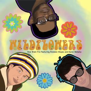 收聽Dow Brain Trio的Wildflowers歌詞歌曲