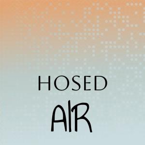 อัลบัม Hosed Air ศิลปิน Various