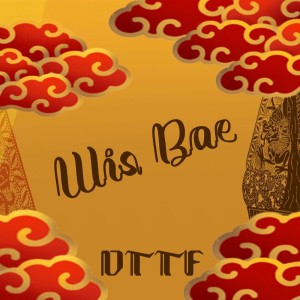 Listen to WIS BAE song with lyrics from D.T.T.F