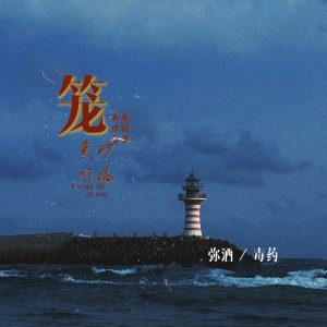 Album 笼《绝望版》 from 毒药