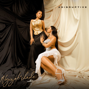 2Disruptive的專輯Ngizok'shada (feat. Miss Ready, Teraphonique, Chilli Bite & Steve.Artchild)