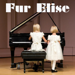 收聽Various Artists的Fur Elise  (Short Version)歌詞歌曲