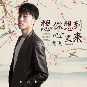 收聽龍飛的想你想到心裏來歌詞歌曲