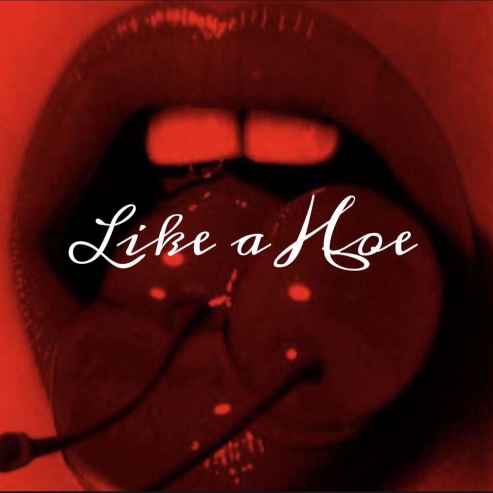 Like A Hoe (feat. DDB) (Explicit)