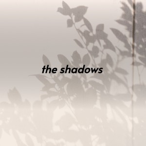 Album The Shadows from Various