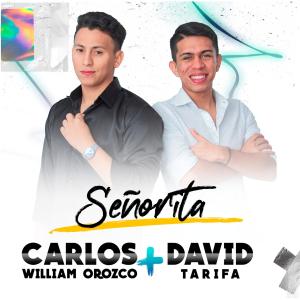 อัลบัม Señorita ศิลปิน 