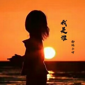 Listen to 我是谁 (完整版) song with lyrics from 南玛子呷