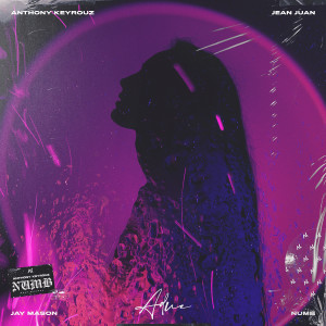 Listen to Numb song with lyrics from Anthony Keyrouz
