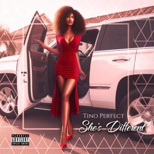 Tino perfect的專輯She Different (Explicit)