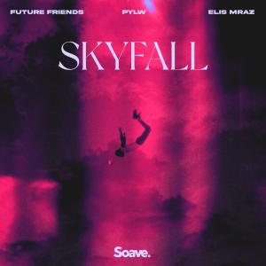 Future Friends的專輯Skyfall