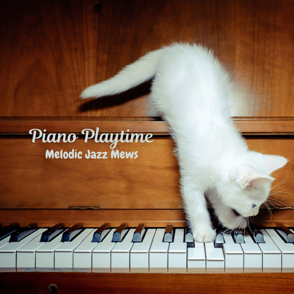 Swingin' Kitty Harmony