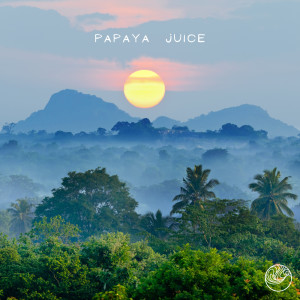 Listen to Papaya Juice song with lyrics from Odd Panda