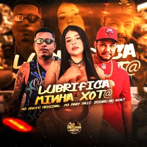 Dengarkan lagu Lubrifica Minha Xot@ (Explicit) nyanyian Mc chefe original dengan lirik
