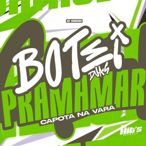 Album Botei Duas Pra Mamar Capota na Vara (Explicit) from dj cauazim