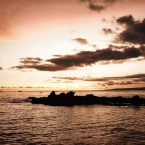 Album Mencintai Mu Bagai Sebuah Mimpi oleh Aris