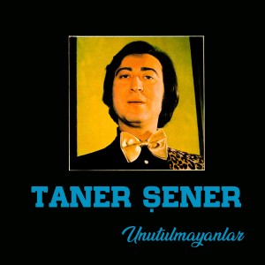 收聽Taner Şener的Ölürsem Sana Yazıktır Kanmadan歌詞歌曲