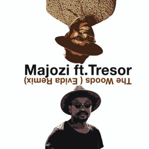 ดาวน์โหลดและฟังเพลง The Woods (Evida Remix) พร้อมเนื้อเพลงจาก Majozi