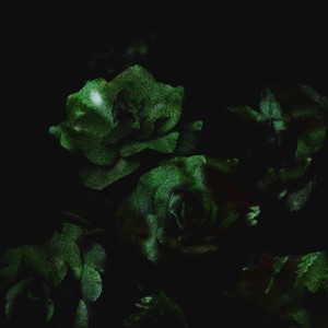 收听Toby Schay的still waters歌词歌曲