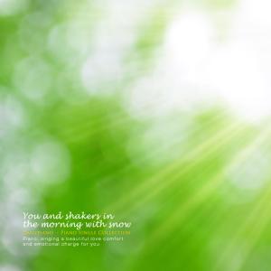 Listen to A day with you song with lyrics from 데일리 피아노