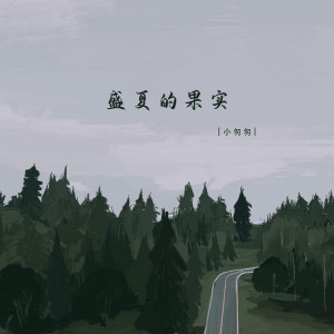 收聽小匆匆的盛夏的果實 (DJ版)歌詞歌曲