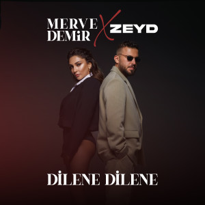 Album Dilene Dilene from Merve Demir
