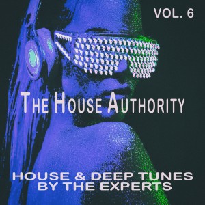 Various Artists的專輯The House Authority, Vol. 6