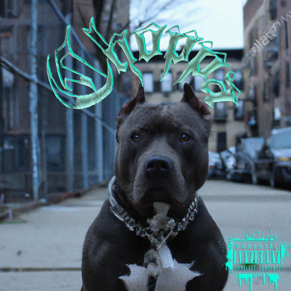 Choppa (Explicit)