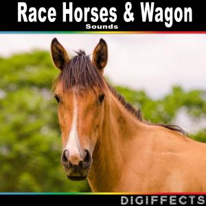 ดาวน์โหลดและฟังเพลง Horse Ride While Galloping (完整版) พร้อมเนื้อเพลงจาก Digiffects Sound Effects Library