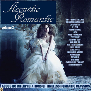 อัลบัม Acoustic Romantic 2 ศิลปิน Voidoid