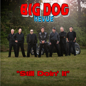 ดาวน์โหลดและฟังเพลง Vehicle พร้อมเนื้อเพลงจาก Big Dog Revue