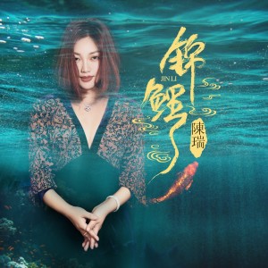 Listen to 锦鲤 (伴奏) song with lyrics from 陈瑞
