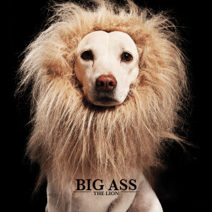 ดาวน์โหลดและฟังเพลง บินเข้ากองไฟ พร้อมเนื้อเพลงจาก Big Ass