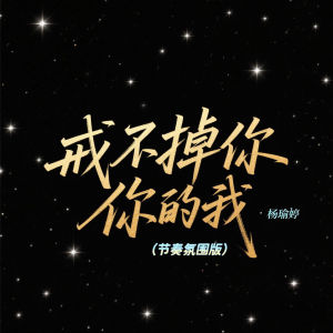 Album 戒不掉你的我 (节奏氛围版) from 杨瑜婷