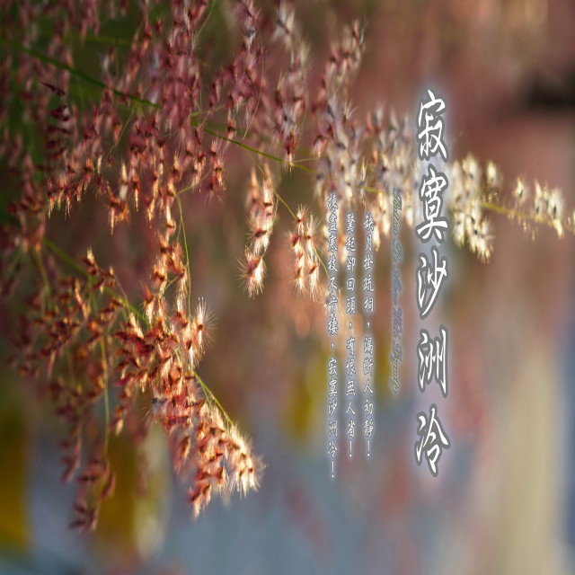 收听周志宏的空林晚晴 (加长版)歌词歌曲