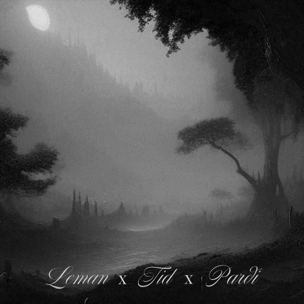 Dans la Brume (feat. Tid & Pardi) (Explicit)