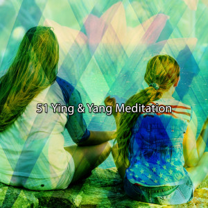 Album 51 Ying & Yang Meditation from White Noise Meditation
