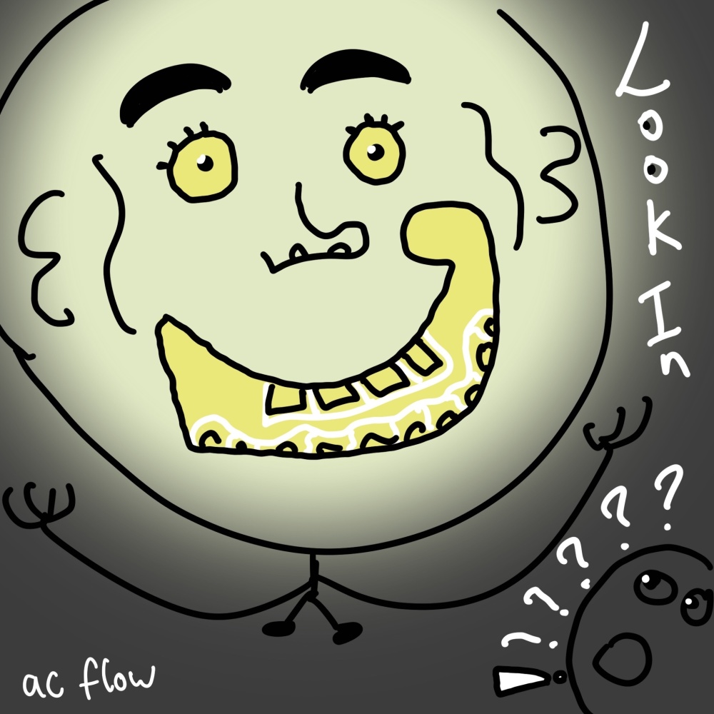 Look In