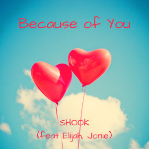 Album Because of You from Shook