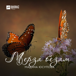 收聽Мадина Юсупова的lаьржа бlаьргаш歌詞歌曲