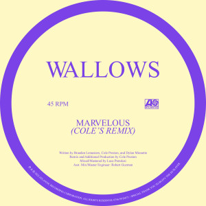 Album Marvelous (Cole’s Remix) from Wallows